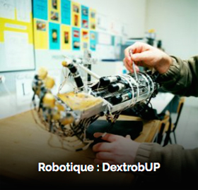 Plateforme robotique DextRobUP
